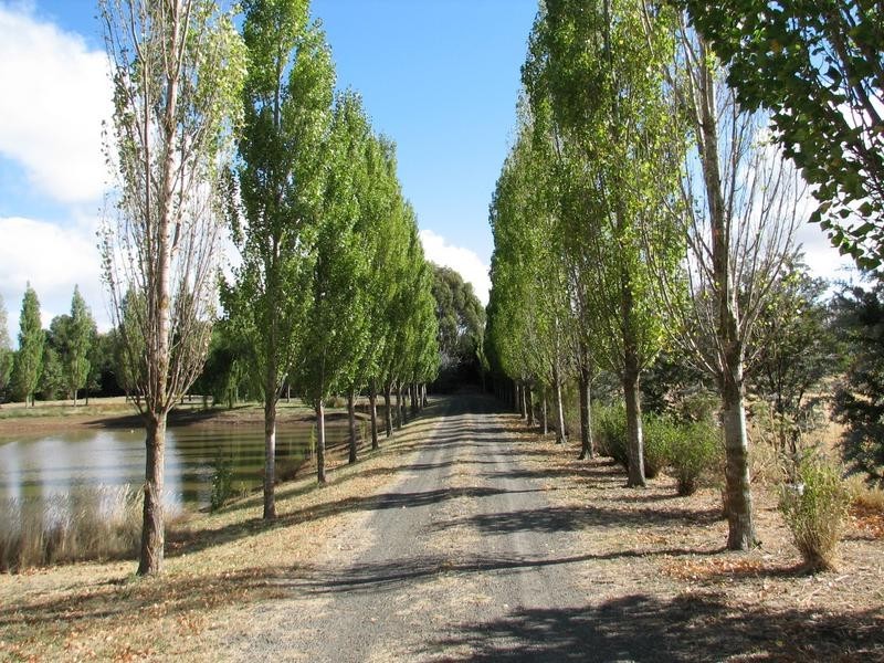 24 Lavender Lane, Kyneton VIC 3444