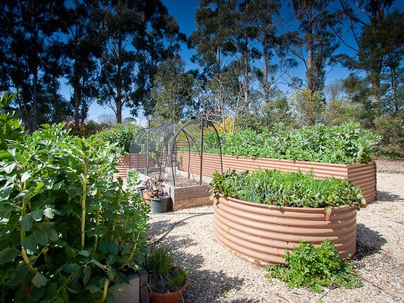 44 Mollison Street, Malmsbury VIC 3446