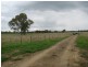 000 Finnings Lane, Elphinstone VIC 3448