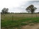 000 Finnings Lane, Elphinstone VIC 3448