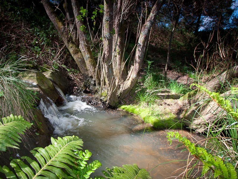 21 Jubilee Lake Road, Daylesford VIC 3460