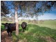 275 Zig Zag Road, Drummond VIC 3461