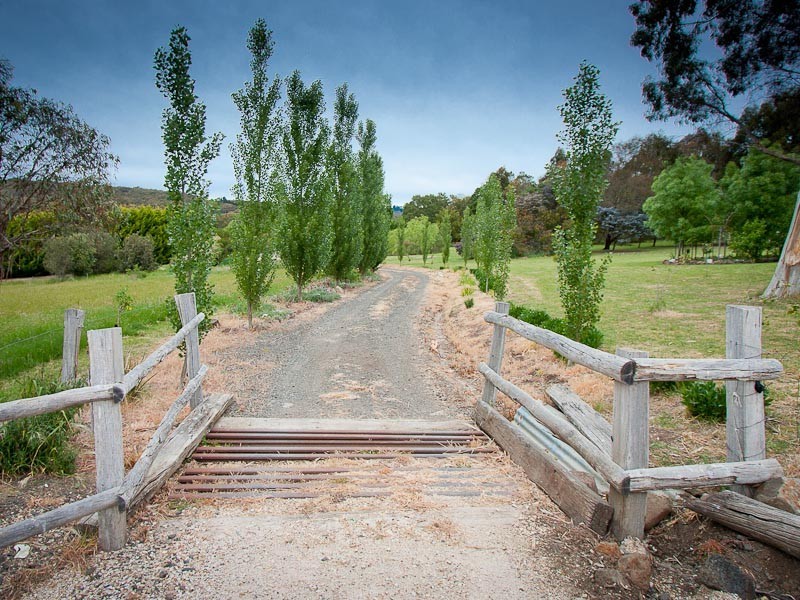 115 Trickeys Lane, Drummond VIC 3461