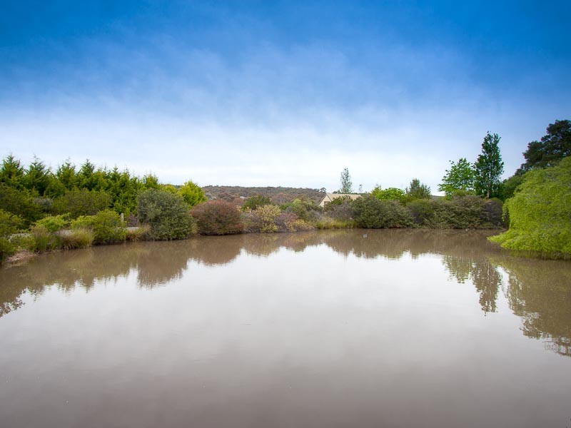 115 Trickeys Lane, Drummond VIC 3461