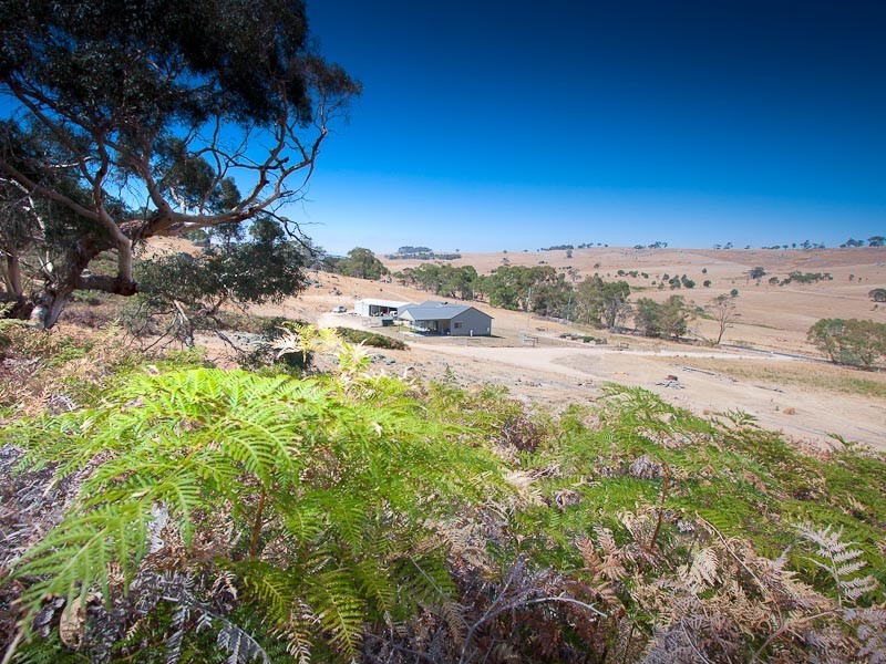 705 Mission Hill Road, Baynton VIC 3444