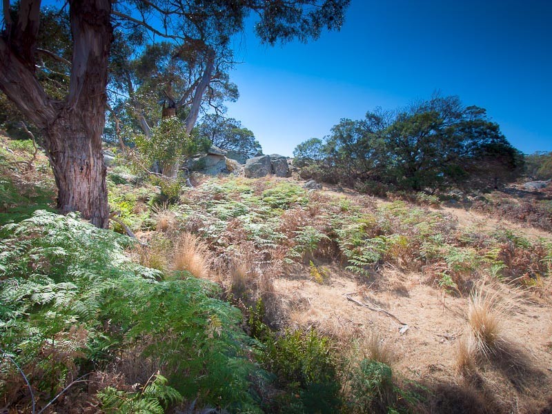 705 Mission Hill Road, Baynton VIC 3444