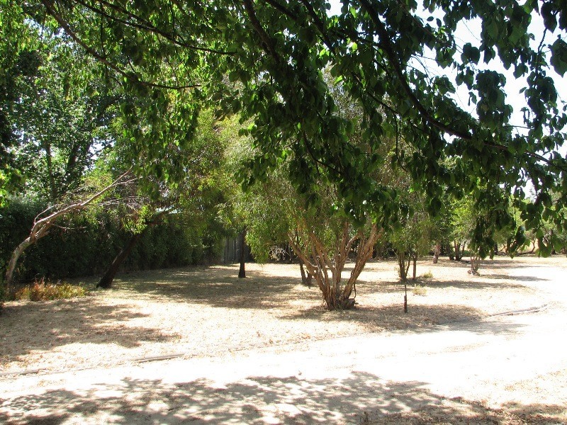 36 Mollison Street, Malmsbury VIC 3446