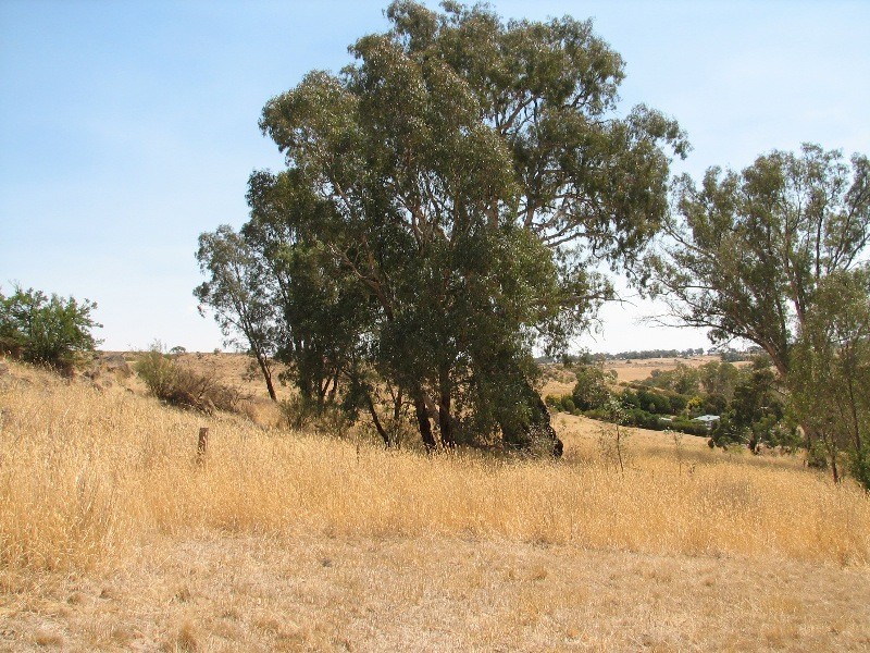 0 Old Ford Road, Redesdale VIC 3444