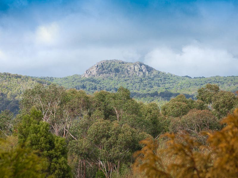 96 Coach Road, Newham VIC 3442