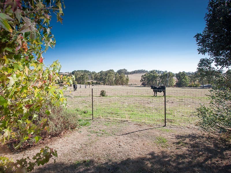 98 Davey Street, Taradale VIC 3447