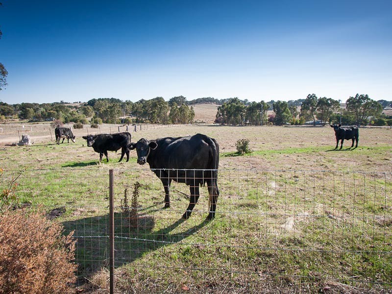 98 Davey Street, Taradale VIC 3447