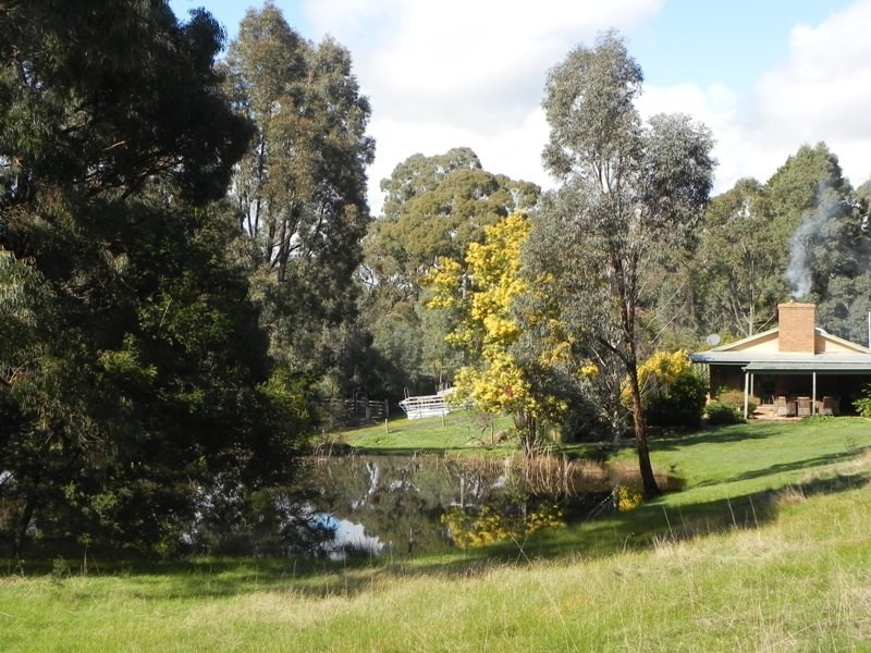 331 Malmsbury Metcalfe Road, Malmsbury VIC 3446