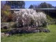 331 Malmsbury Metcalfe Road, Malmsbury VIC 3446
