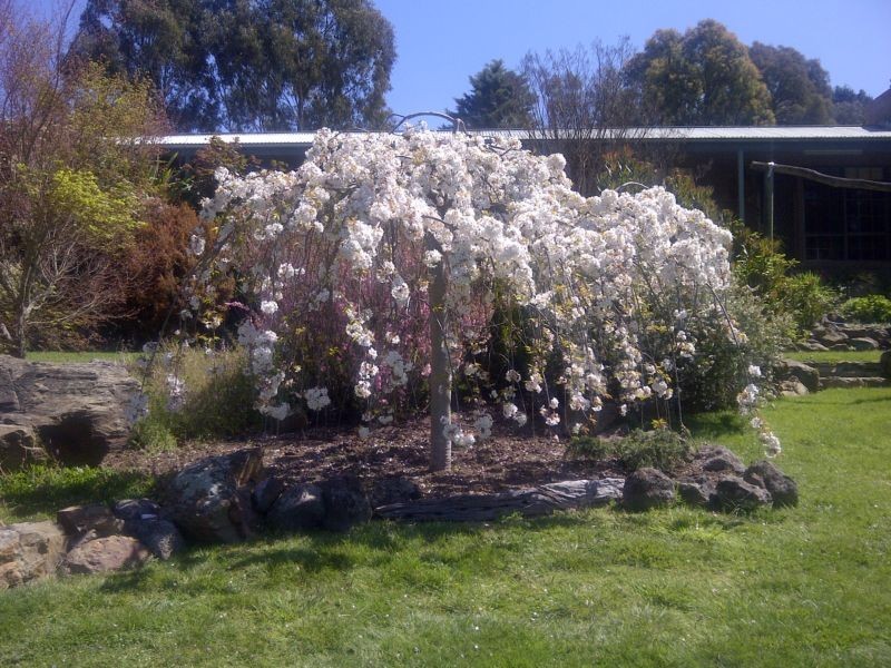 331 Malmsbury Metcalfe Road, Malmsbury VIC 3446