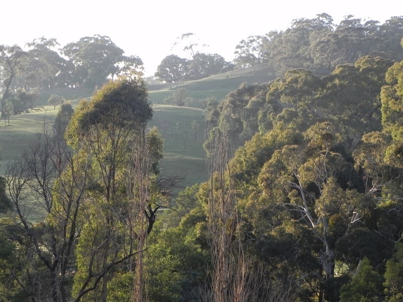 331 Malmsbury Metcalfe Road, Malmsbury VIC 3446
