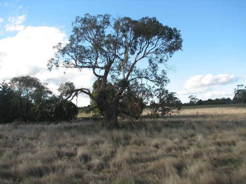 Lot 5 Flynns Lane, Kyneton VIC 3444