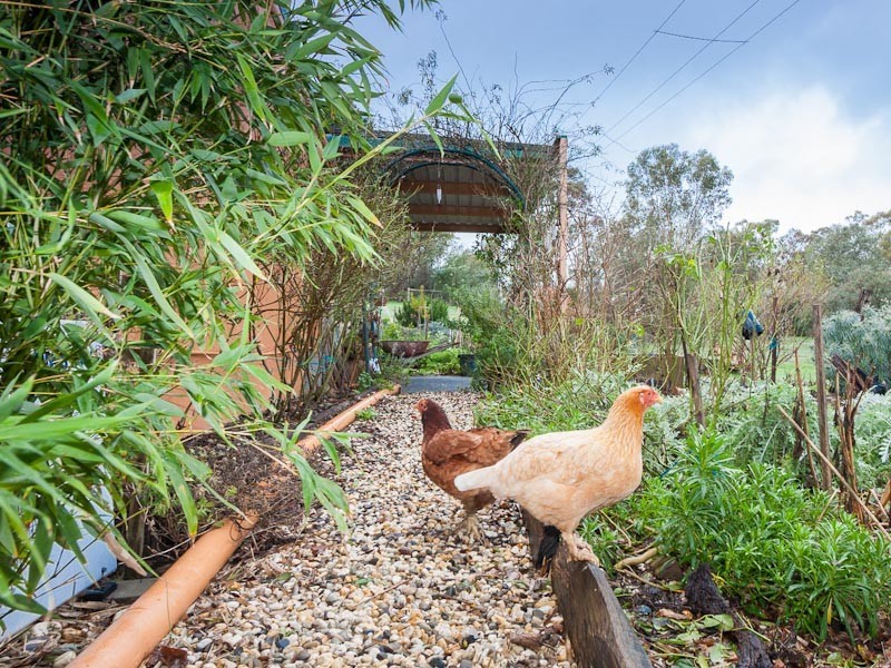 14 Wilson Street, Metcalfe VIC 3448