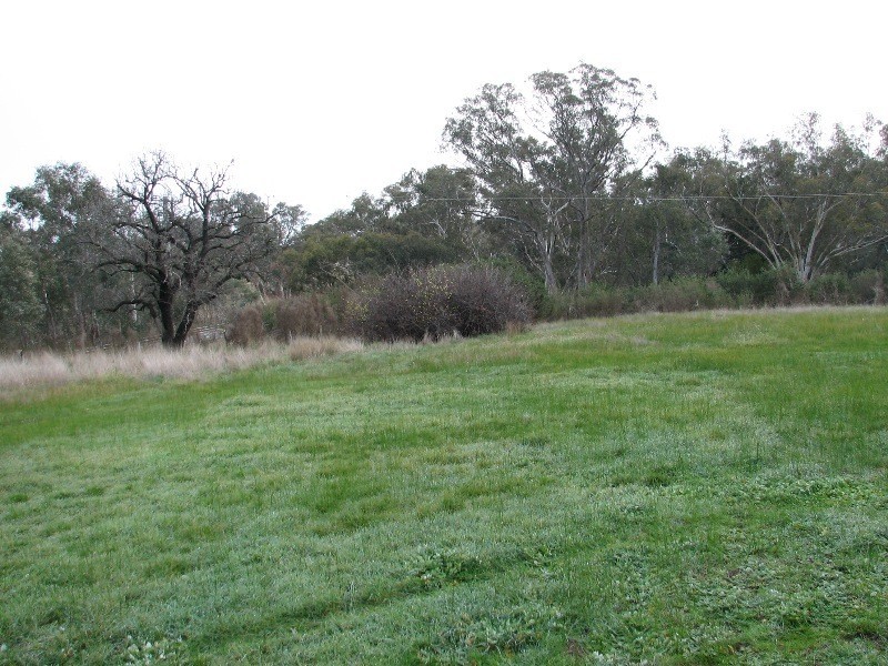 Lot 1 and 2, Kyneton Metcalfe Road, Metcalfe VIC 3448