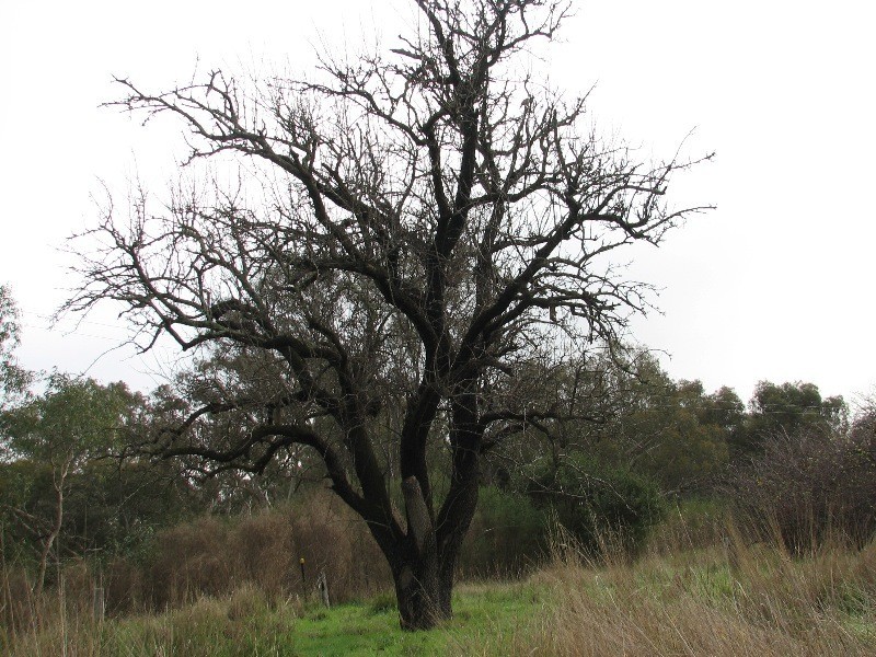 Lot 1 and 2, Kyneton Metcalfe Road, Metcalfe VIC 3448
