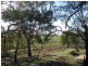 CA50A2 Mission Hill Road, Baynton VIC 3444