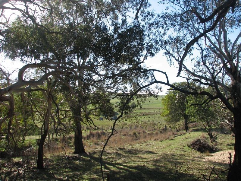 CA50A2 Mission Hill Road, Baynton VIC 3444
