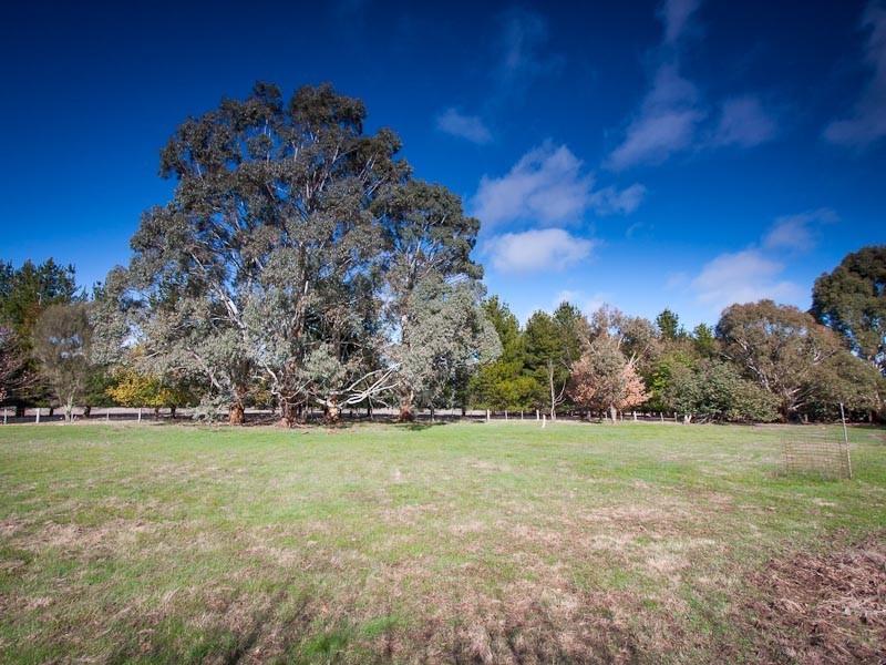 29 Pudding Bag Road, Drummond VIC 3461