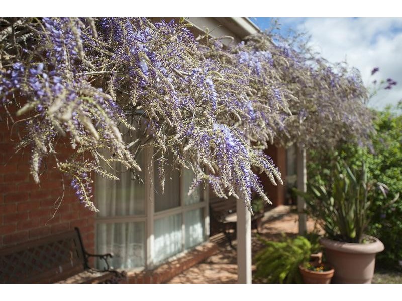 45 Sebastapol Road, Kyneton VIC 3444