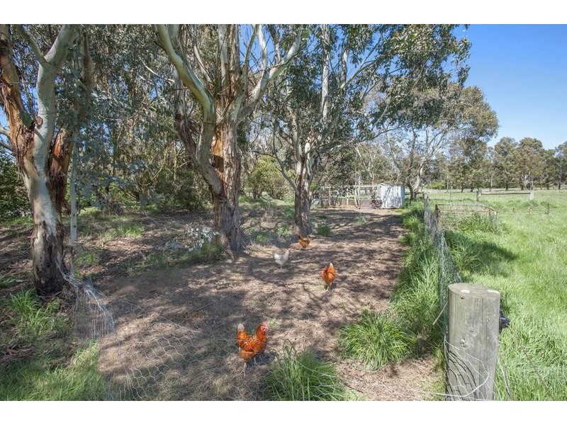 163 Mowbrays Road, Carlsruhe VIC 3442