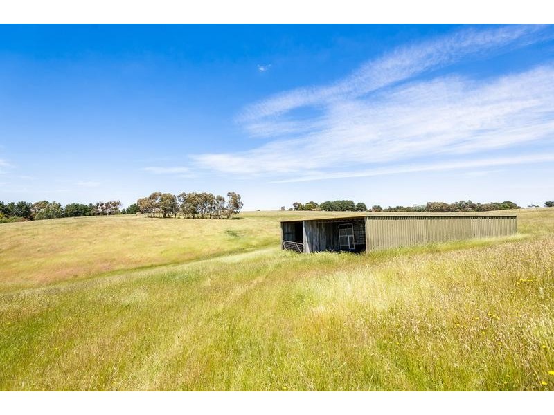 60 Tricky’s Lane, Drummond VIC 3461