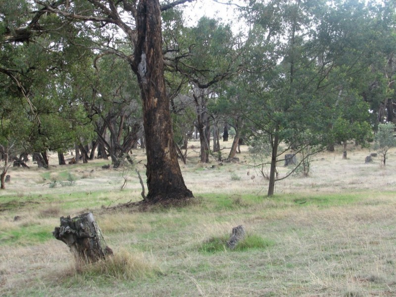 51 Foxes Lane, Kyneton VIC 3444