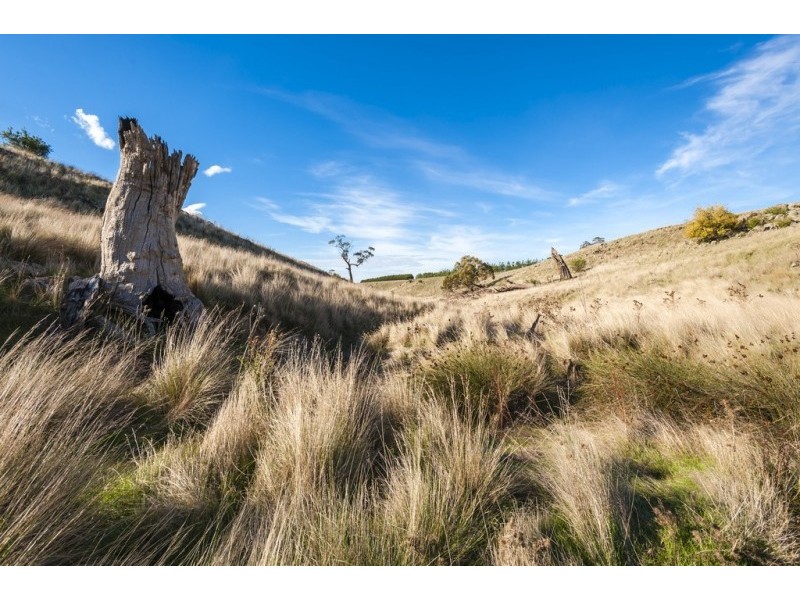 186 Weatherly Road, Monegeetta VIC 3433