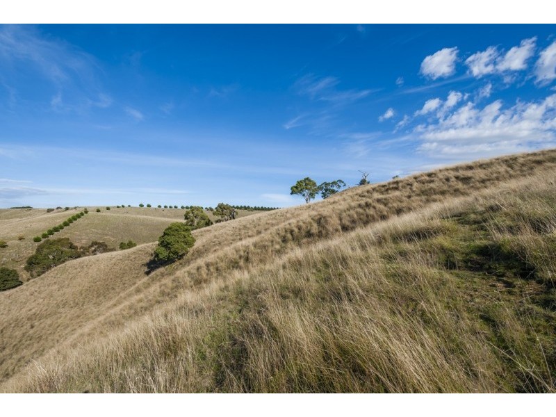 186 Weatherly Road, Monegeetta VIC 3433