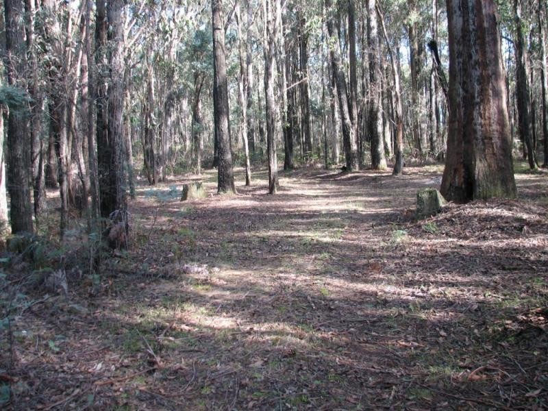 44 Paradise Valley Road, Spring Hill VIC 3444