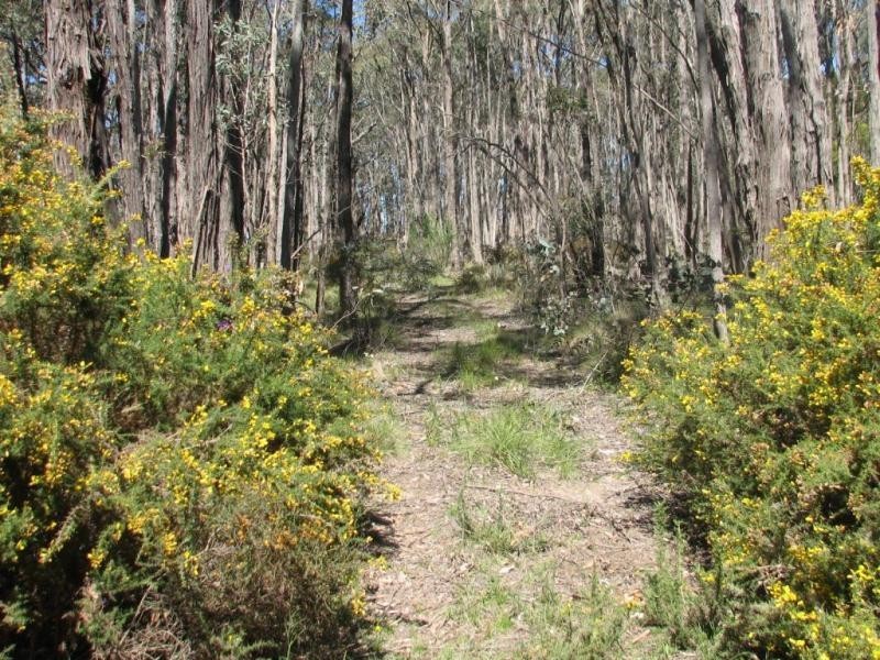 Lot 3,  Liza Drive, Drummond VIC 3461