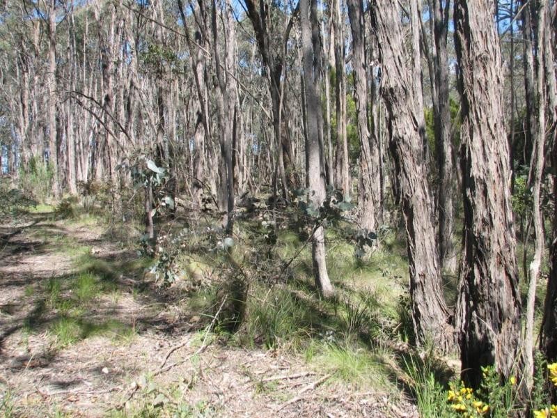 Lot 3,  Liza Drive, Drummond VIC 3461