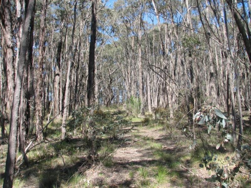 Lot 3,  Liza Drive, Drummond VIC 3461