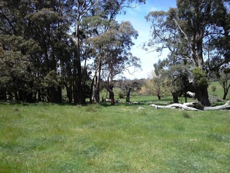 Lancefield VIC 3435