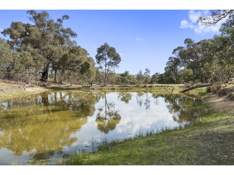 59 Mactiers Lane, Malmsbury VIC 3446