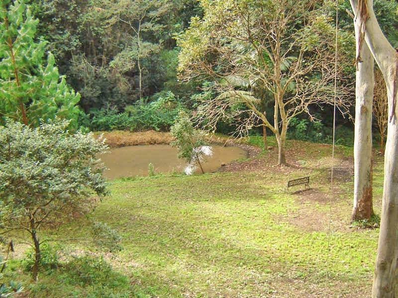 12 Croton Avenue, Holgate NSW 2250