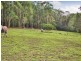 12 Croton Avenue, Holgate NSW 2250