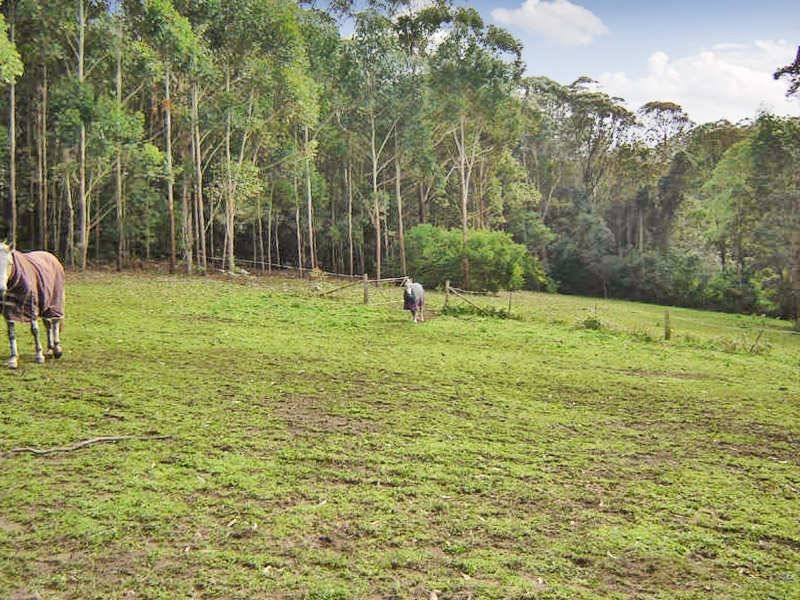 12 Croton Avenue, Holgate NSW 2250
