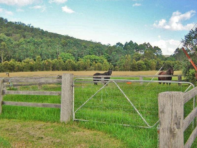 1878 Yarramalong Road, Yarramalong NSW 2259
