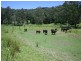 812 Ourimbah Creek Road, Ourimbah NSW 2258