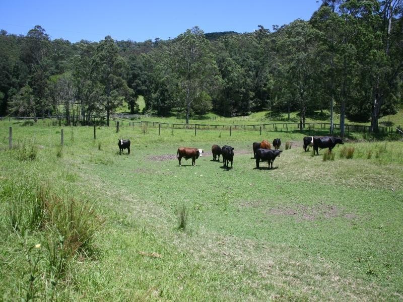 812 Ourimbah Creek Road, Ourimbah NSW 2258