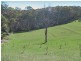 403A The Scenic Road, Macmasters Beach NSW 2251