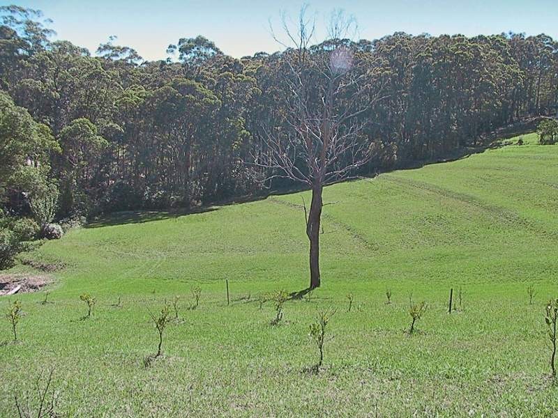 403A The Scenic Road, Macmasters Beach NSW 2251