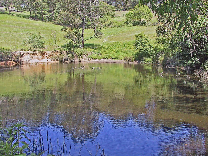 403A The Scenic Road, Macmasters Beach NSW 2251