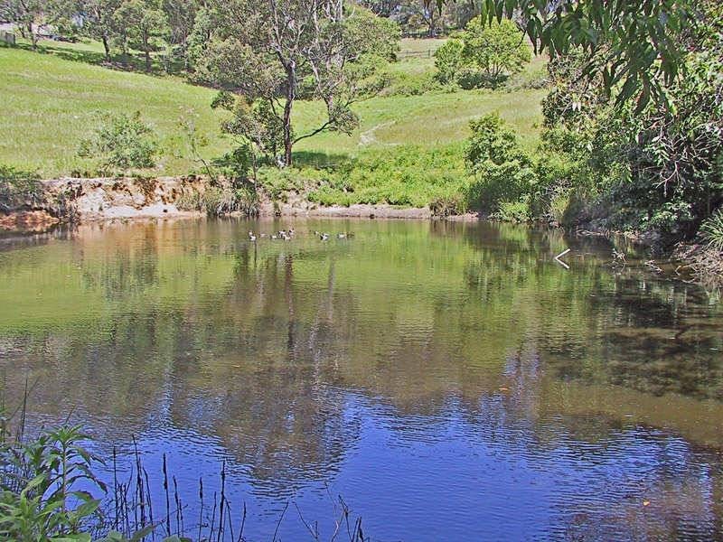 403A The Scenic Road, Macmasters Beach NSW 2251