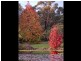 RMB 2117 Greta Road, Kulnura NSW 2250