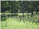 812 Ourimbah Creek Road, Ourimbah NSW 2258